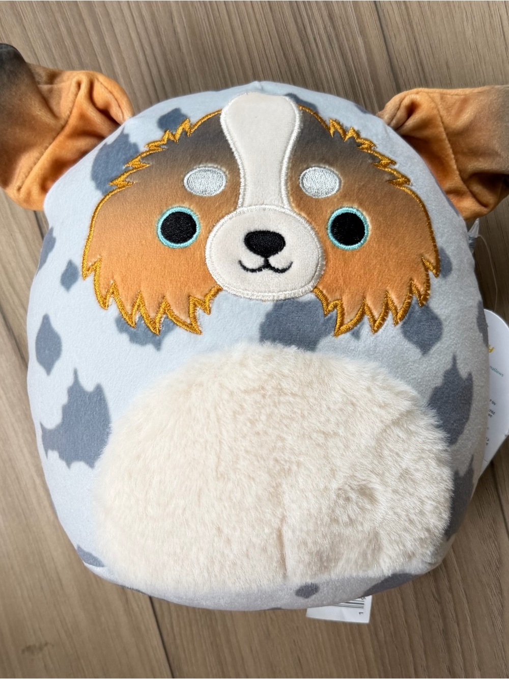 Squishmallow 8” Raylor Australian Shepherd Plush Dog Stuffed Toy